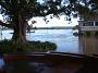 taree-flood2011 016